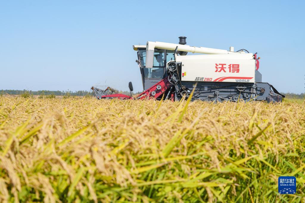 足球现金体育官网